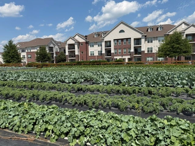 Shalom Farms Open House1.jpg